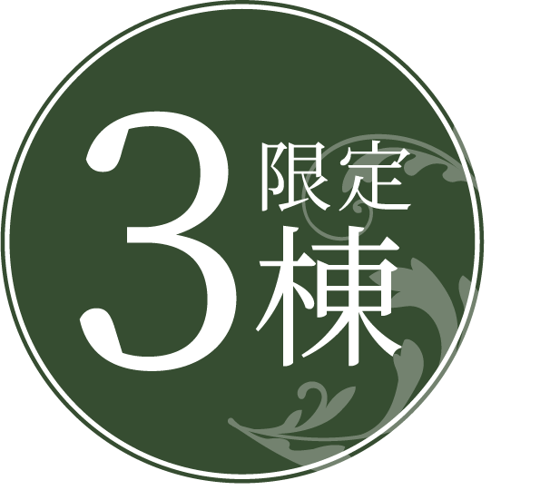 3限定棟